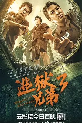 刷度快速排名