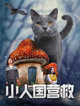 秘密爱，我的朋友妈妈2