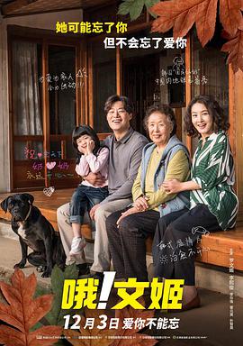 日韩在线视频导航