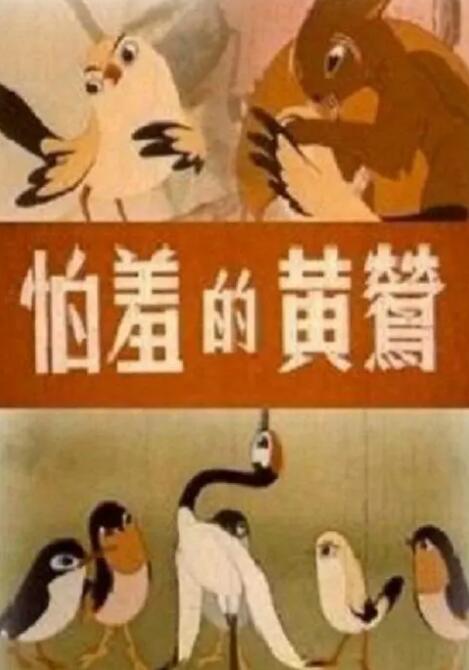 全员律师