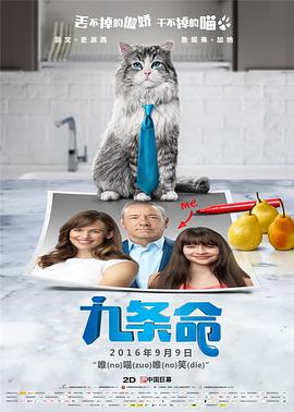 福利一区二区三区视频午夜观看