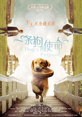 51av导航
