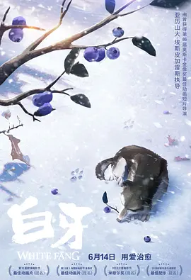 精品视频一区二区观看