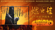 91短视频免费在线观看