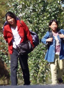 张柏芝黄色片