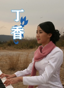 精品一区二区三区免费观看