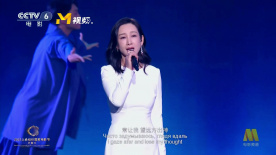 偶然的政事